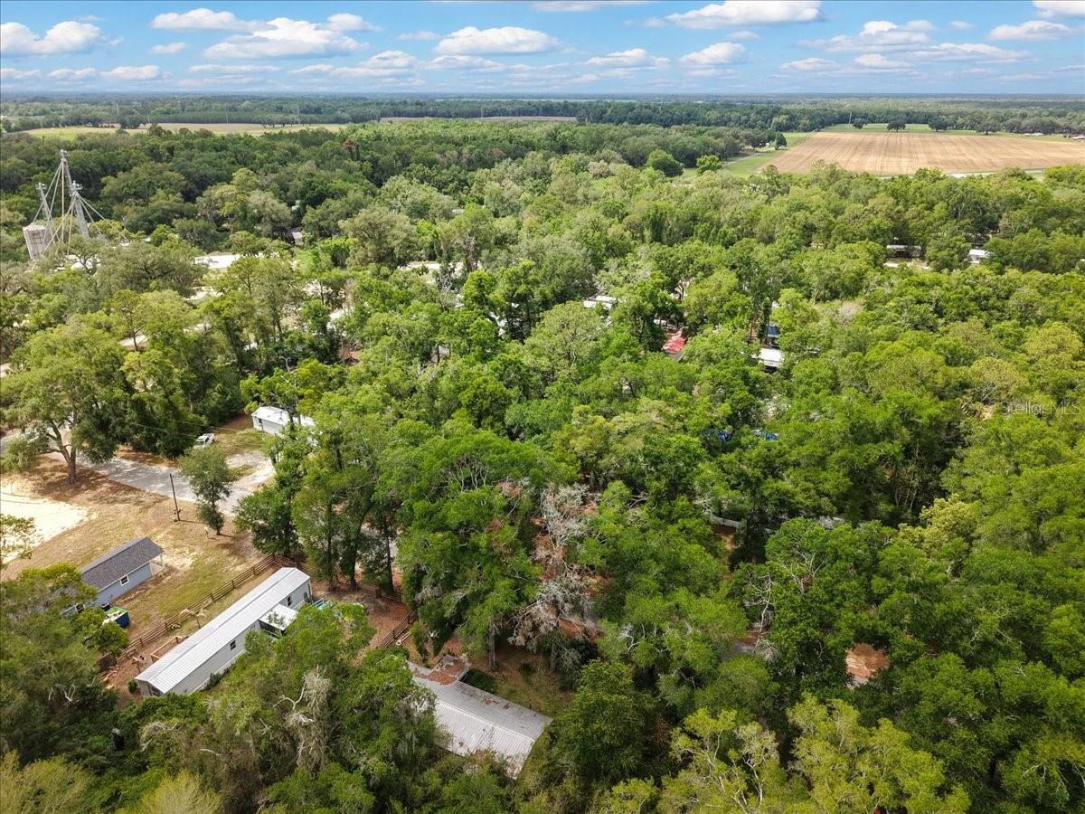 901 NE 11TH AVE, TRENTON, FL, 32693