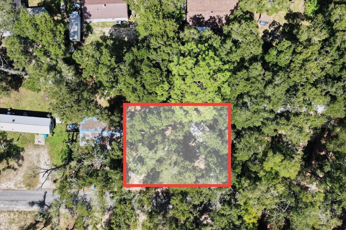 901 NE 11TH AVE, TRENTON, FL, 32693