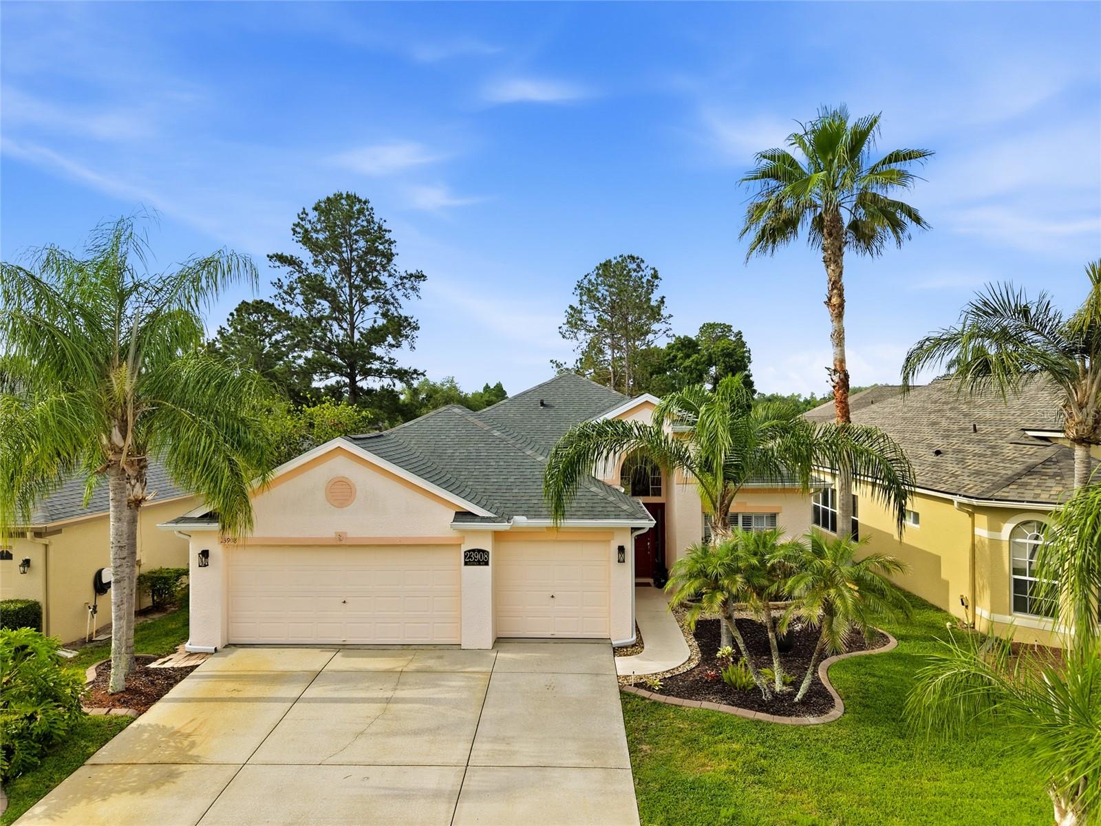 23908 HASTINGS WAY, LAND O LAKES, FL, 34639