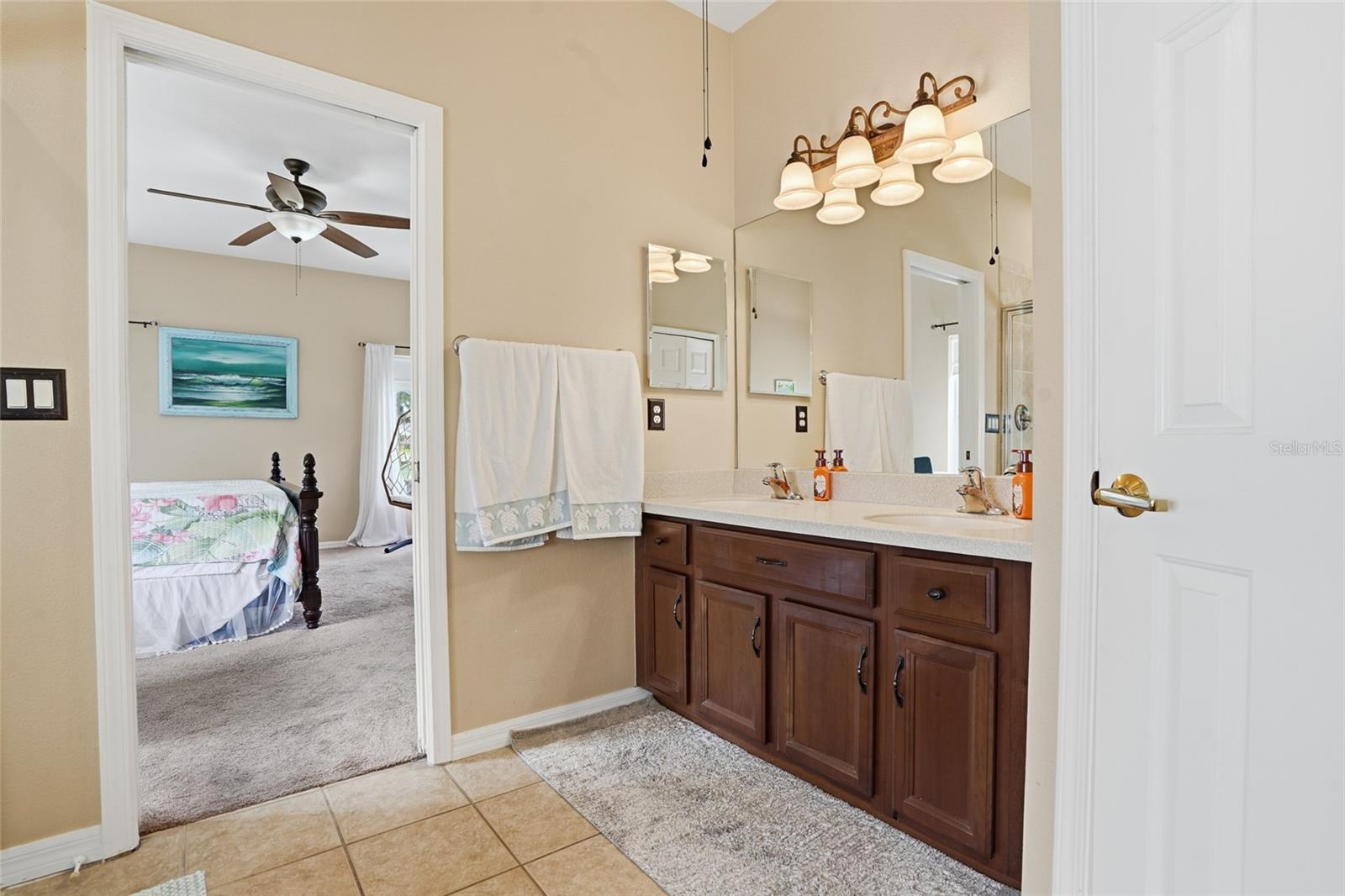 23908 HASTINGS WAY, LAND O LAKES, FL, 34639