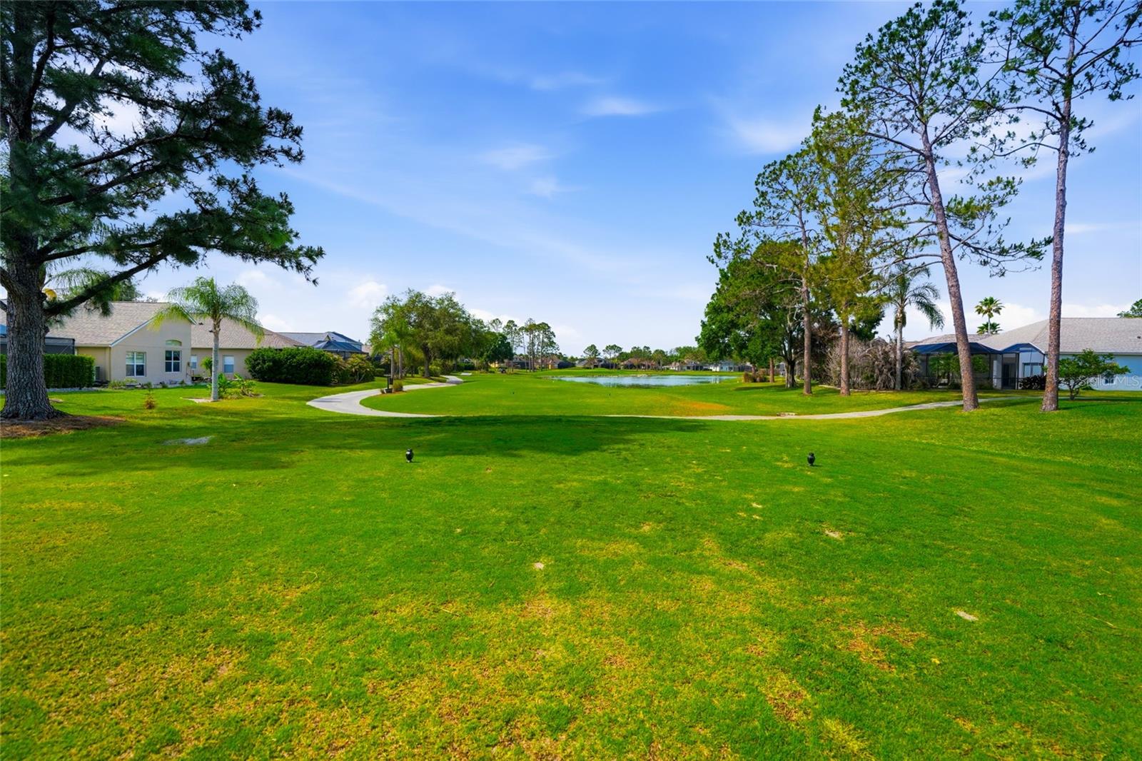 23908 HASTINGS WAY, LAND O LAKES, FL, 34639