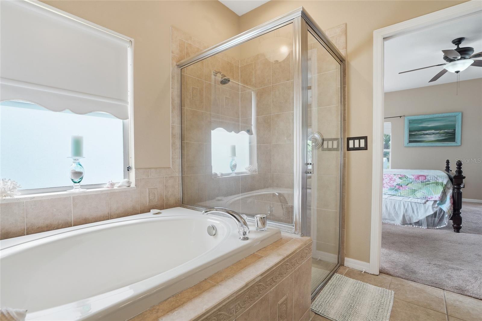 23908 HASTINGS WAY, LAND O LAKES, FL, 34639