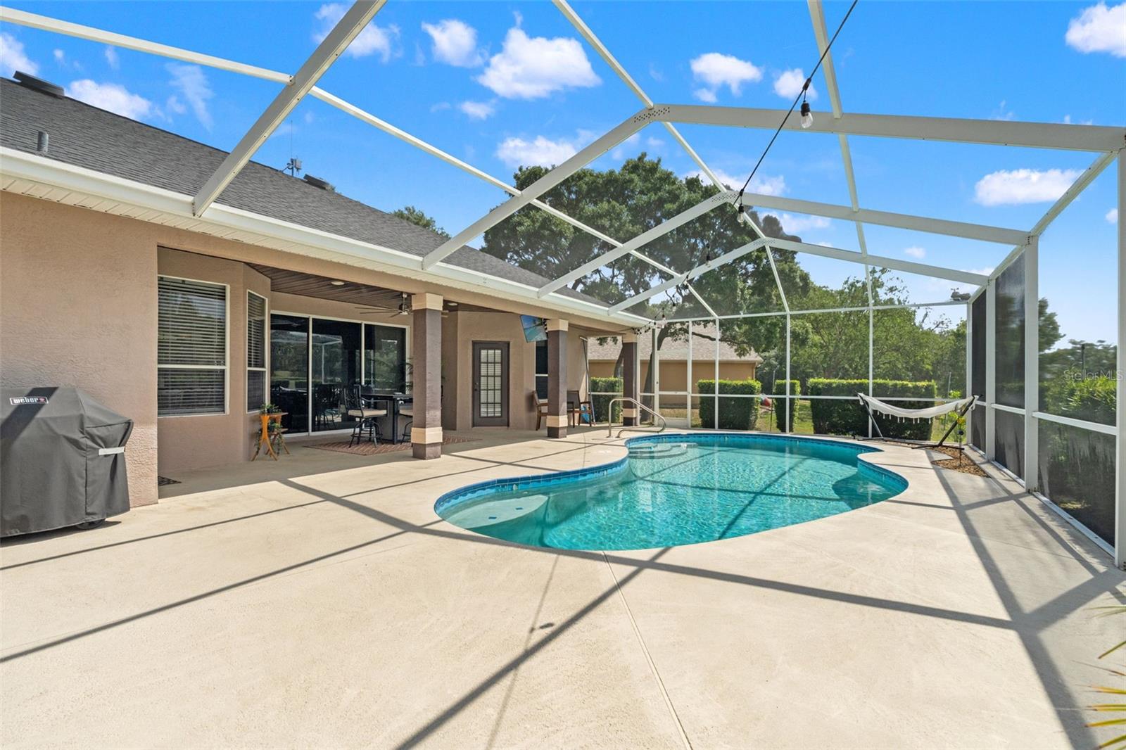 10327 VELVETSEED CIR, SPRING HILL, FL, 34608
