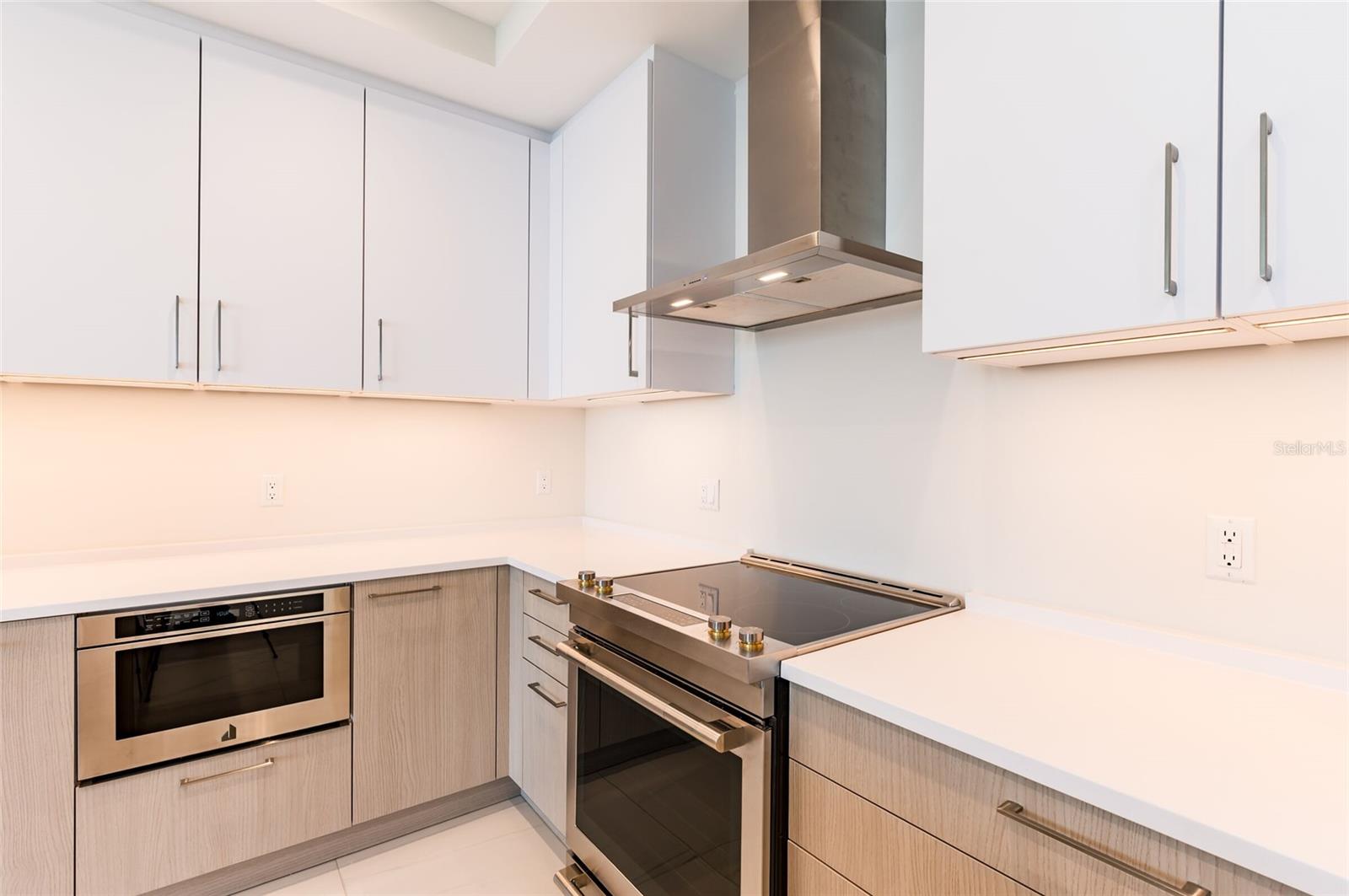 275 1ST AVENUE SOUTH #2208, ST PETERSBURG, FL, 33701