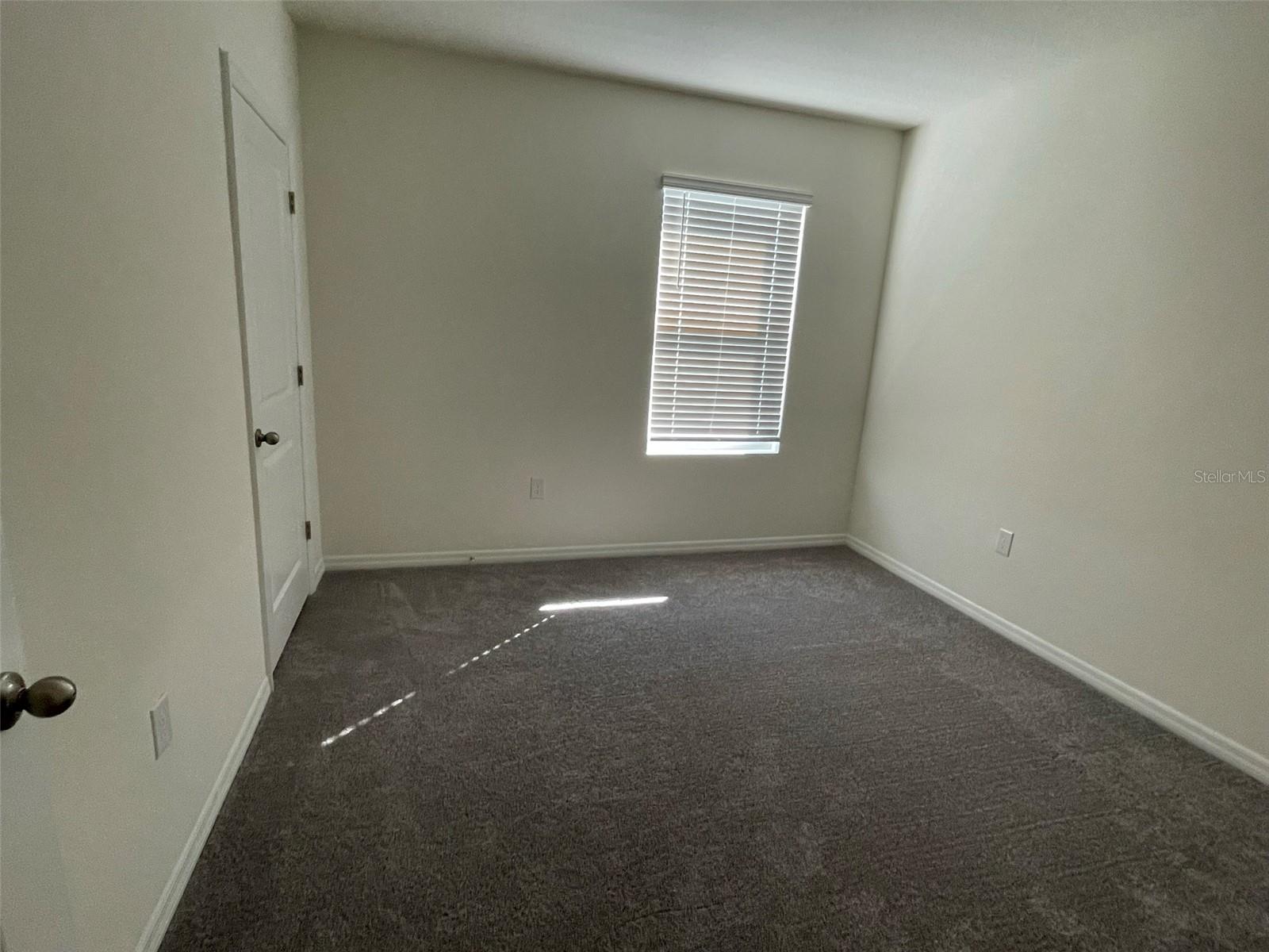 15596 BLACK PEPPER LN, ODESSA, FL, 33556