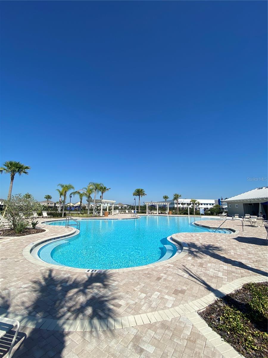 15596 BLACK PEPPER LN, ODESSA, FL, 33556