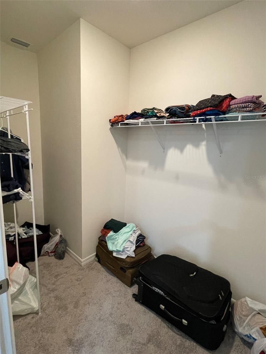 15596 BLACK PEPPER LN, ODESSA, FL, 33556