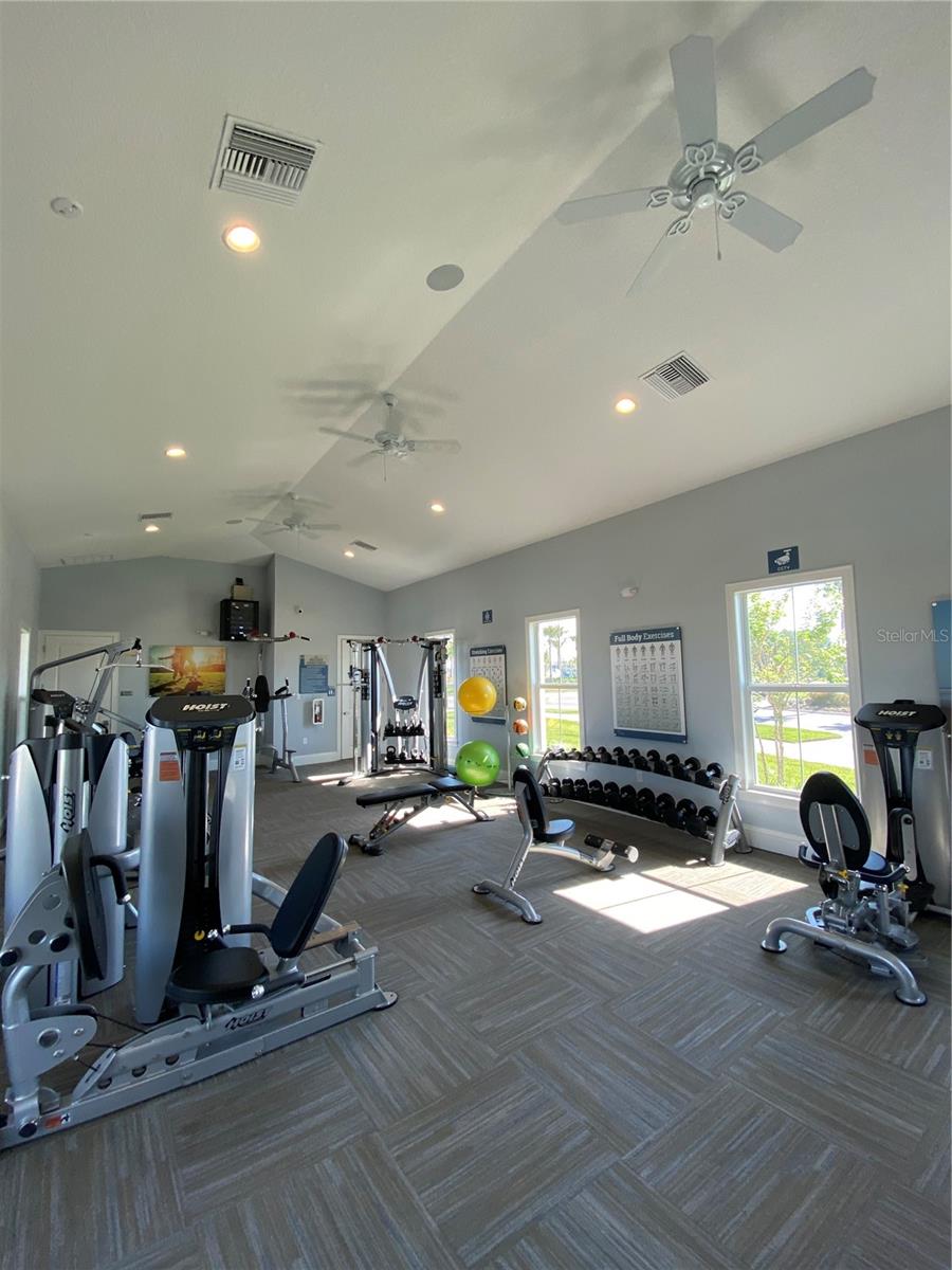 15596 BLACK PEPPER LN, ODESSA, FL, 33556