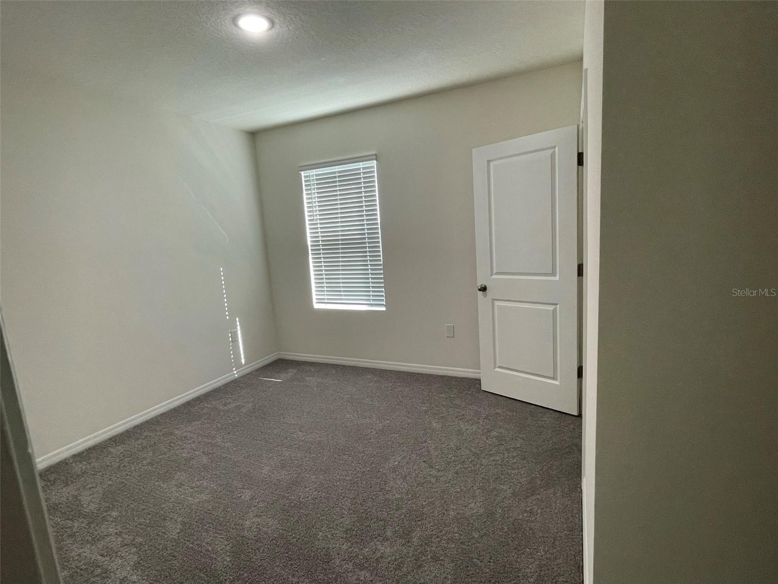 15596 BLACK PEPPER LN, ODESSA, FL, 33556