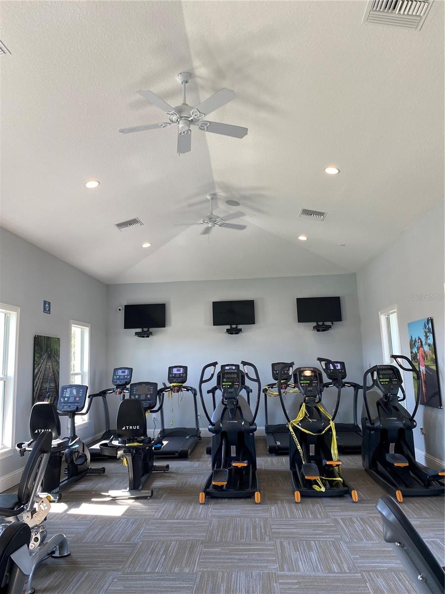 15596 BLACK PEPPER LN, ODESSA, FL, 33556