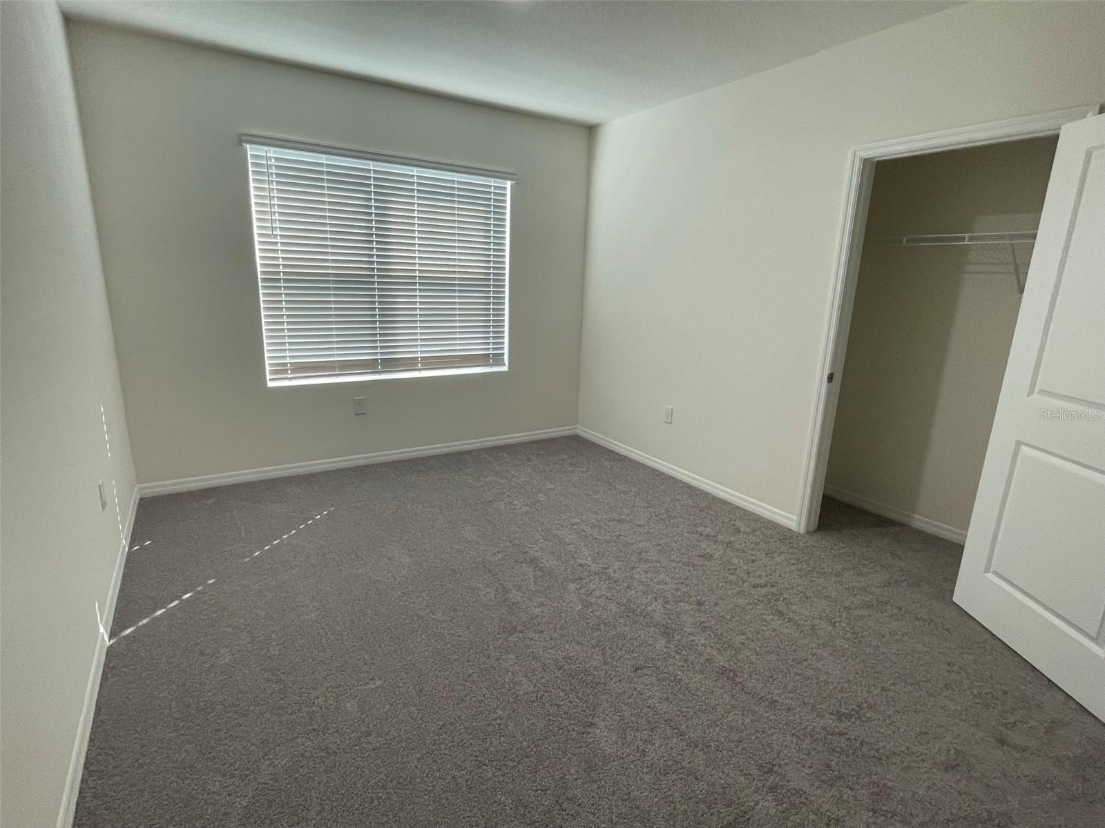 15596 BLACK PEPPER LN, ODESSA, FL, 33556