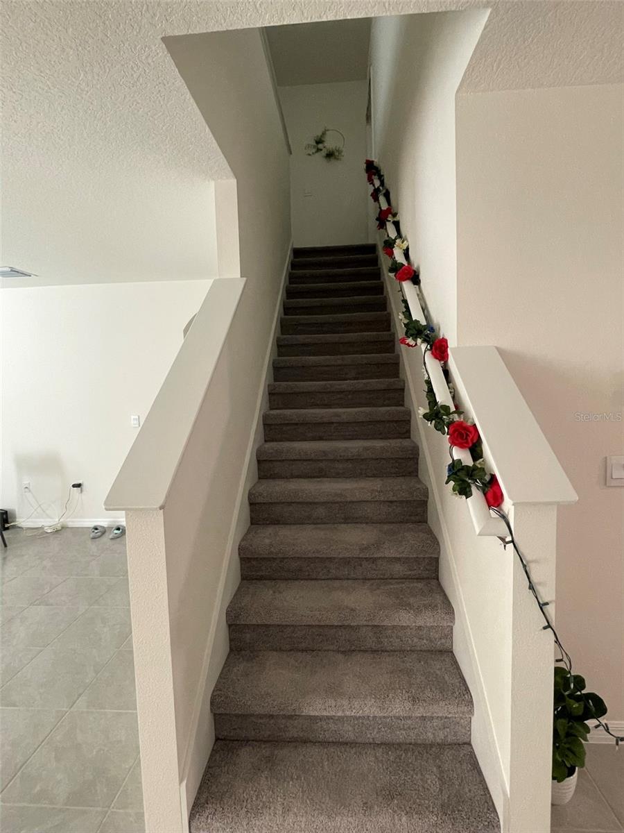 15596 BLACK PEPPER LN, ODESSA, FL, 33556