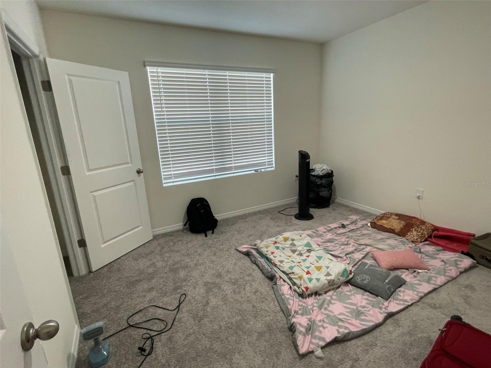 15596 BLACK PEPPER LN, ODESSA, FL, 33556