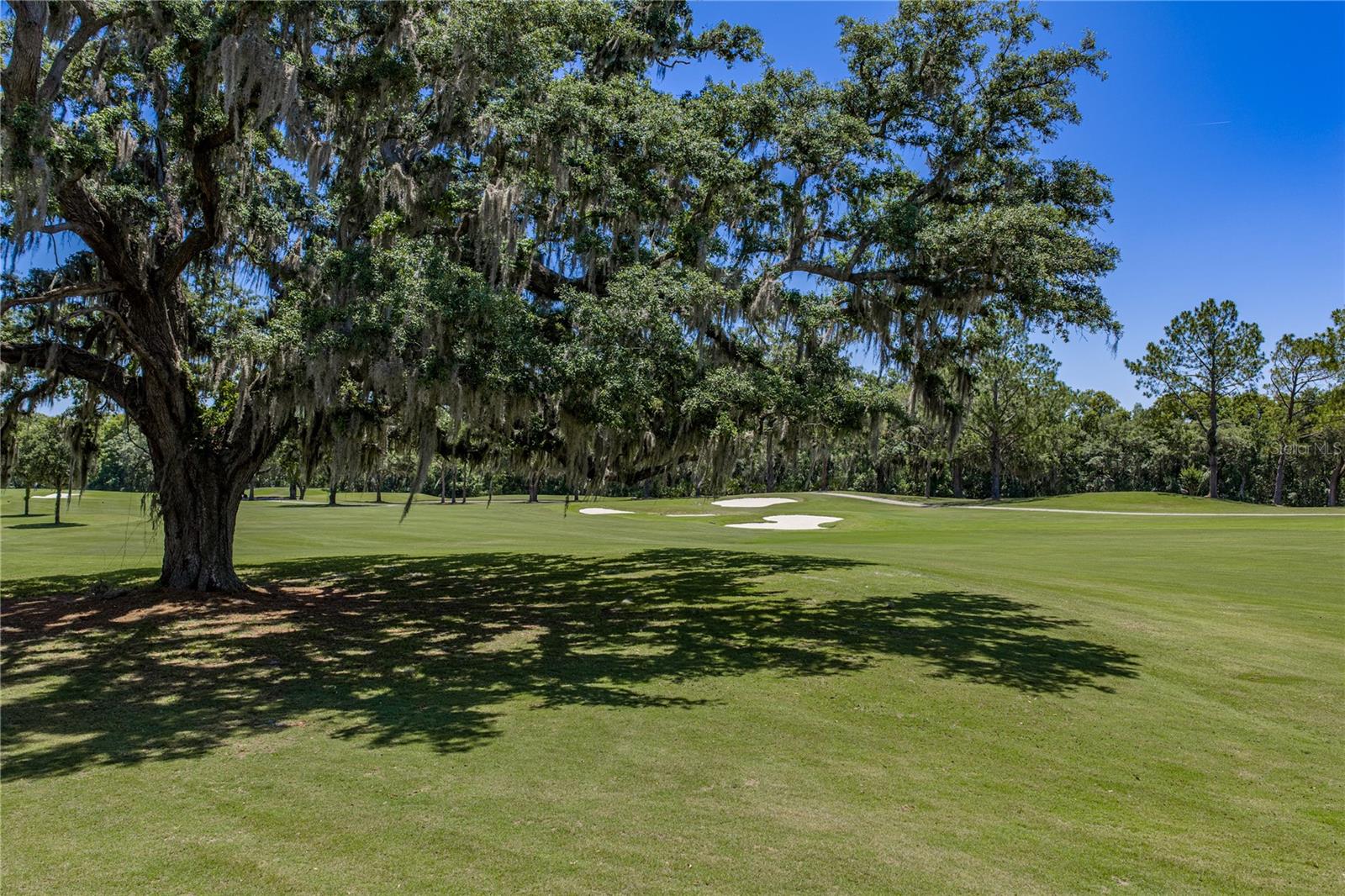 34530 HEAVENLY LN, DADE CITY, FL, 33525