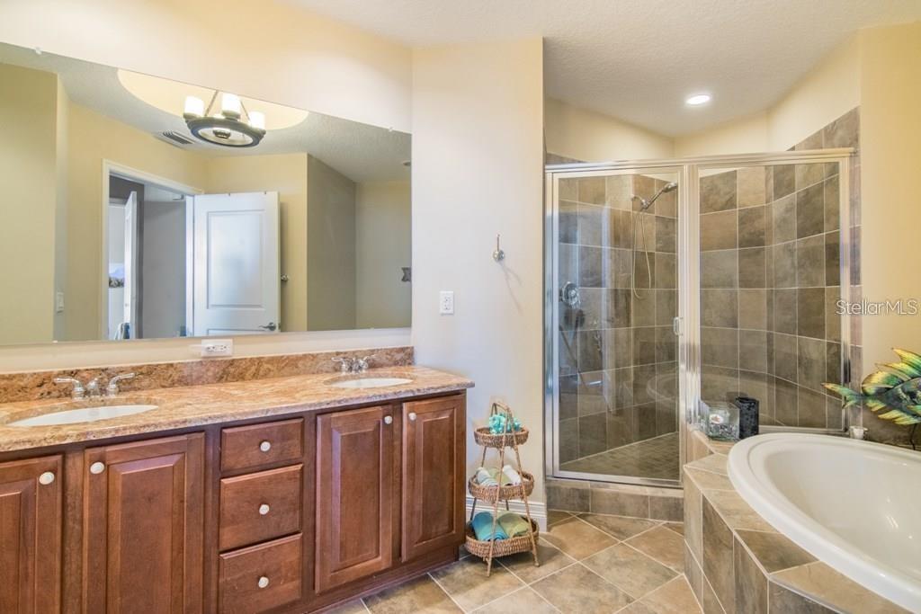 1209 E CUMBERLAND AVE #2502, TAMPA, FL, 33602