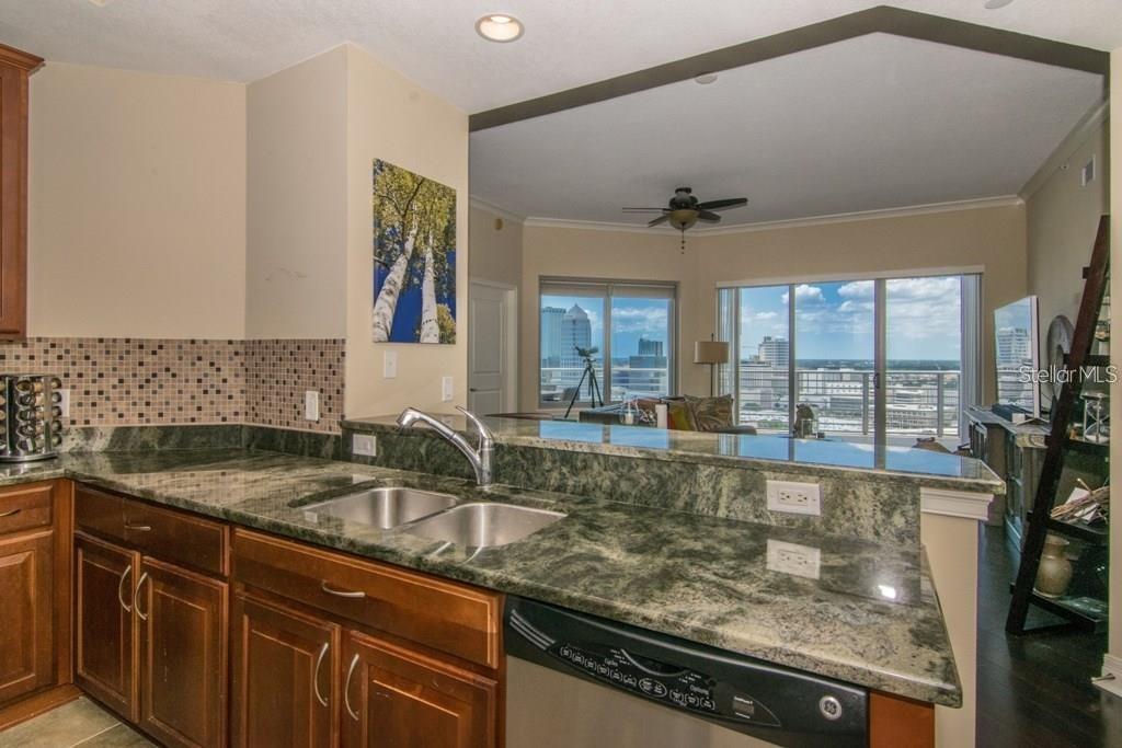 1209 E CUMBERLAND AVE #2502, TAMPA, FL, 33602