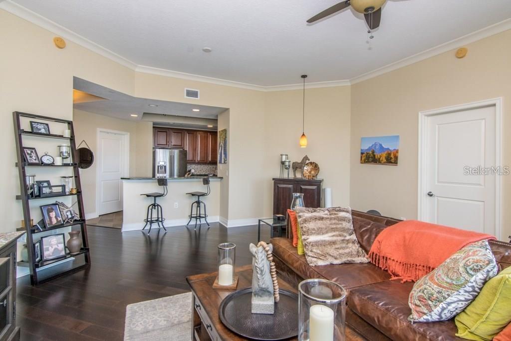 1209 E CUMBERLAND AVE #2502, TAMPA, FL, 33602