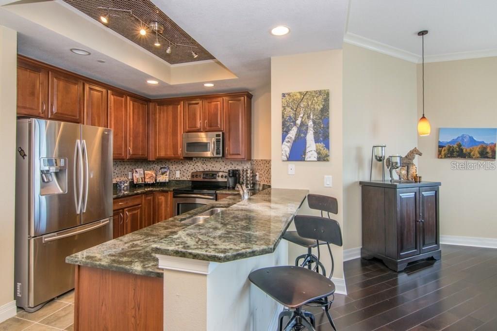 1209 E CUMBERLAND AVE #2502, TAMPA, FL, 33602