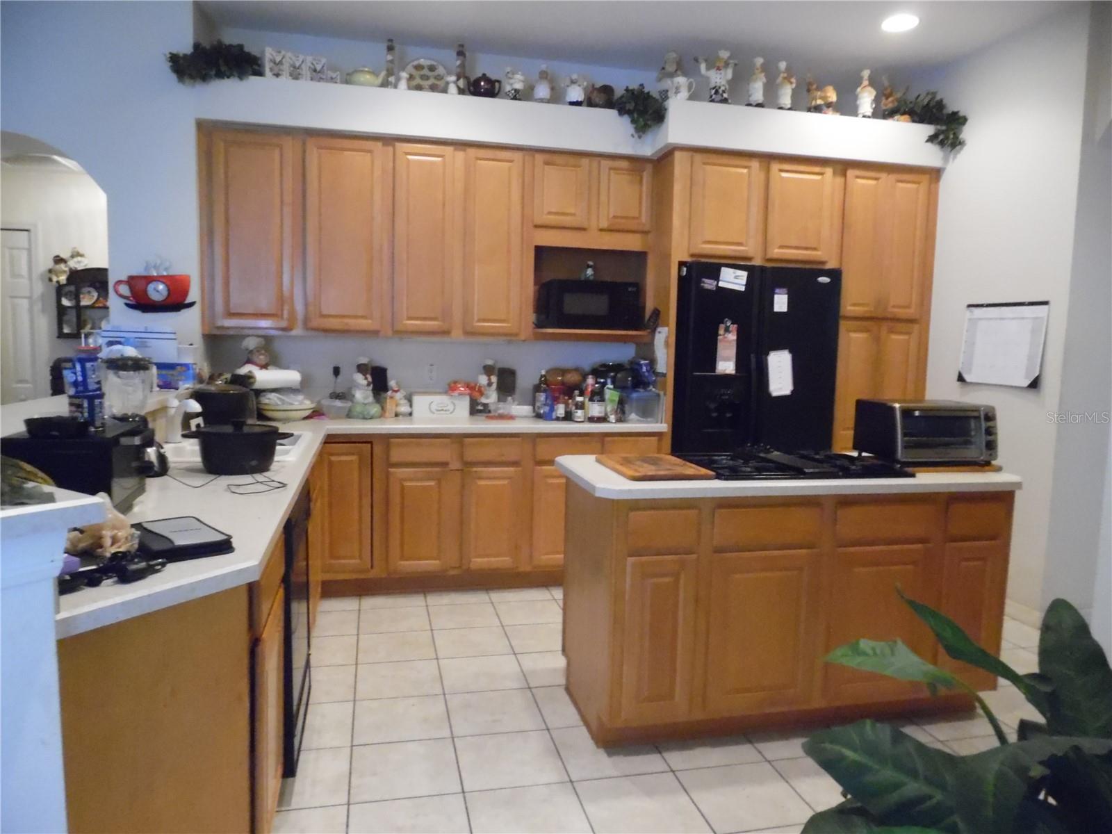 4841 GLEN COE ST, LEESBURG, FL, 34748