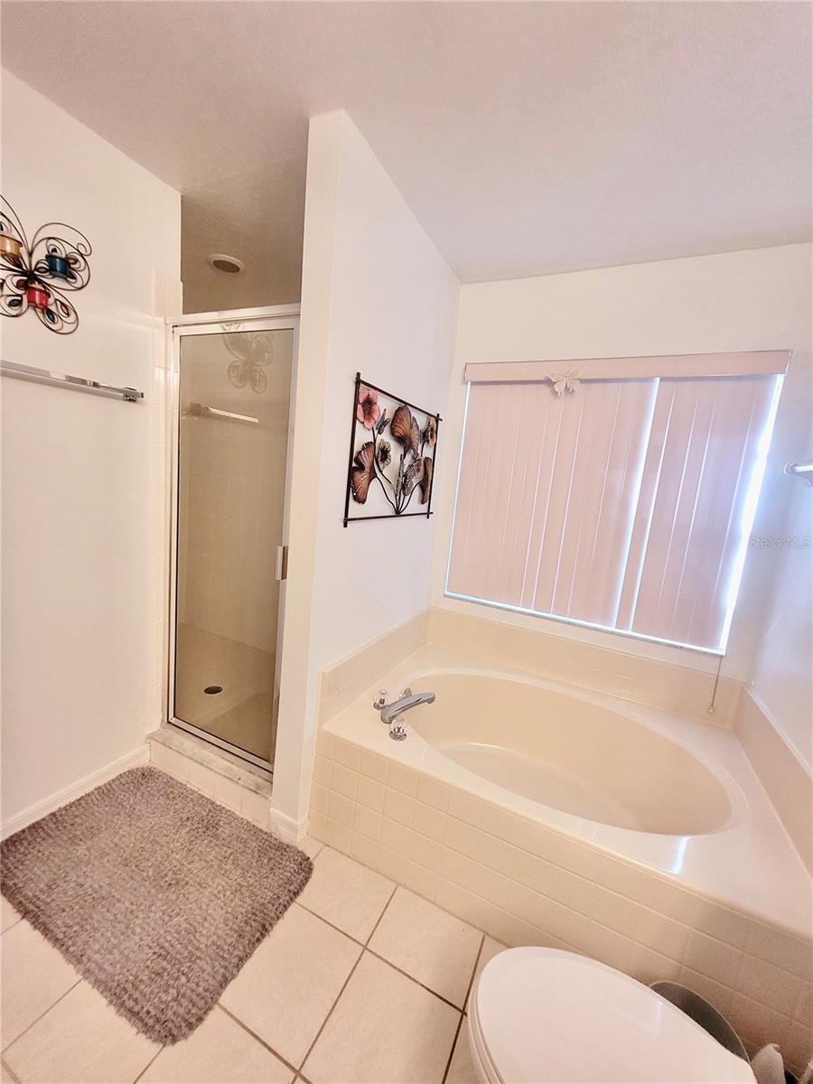 245 FOGGY CREEK RD, DAVENPORT, FL, 33837