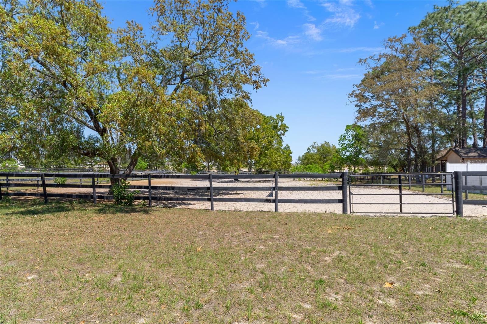 3450 GRETNA DR, SPRING HILL, FL, 34609