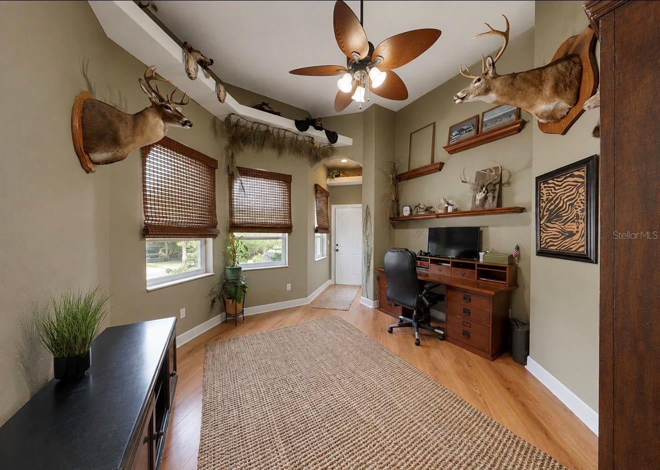 4817 SETH LN, PLANT CITY, FL, 33565