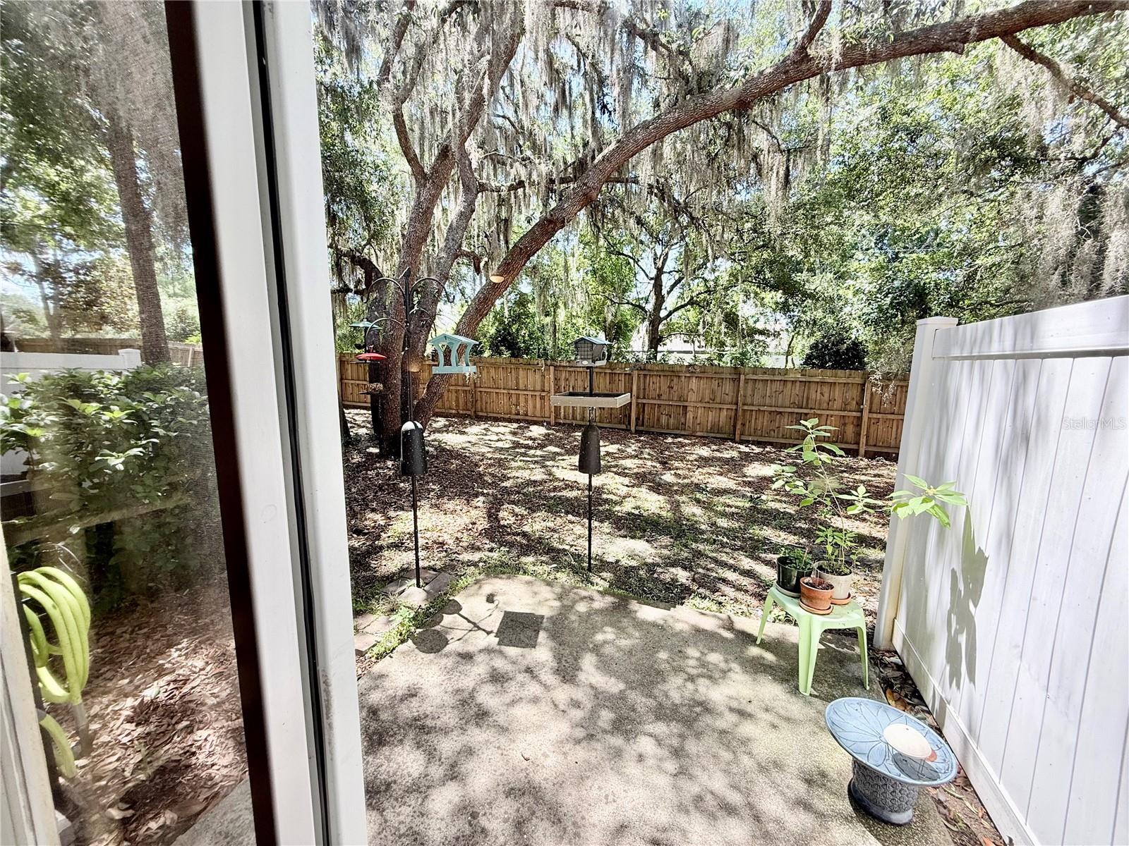 343 GOLDEN DEWDROP WAY, OVIEDO, FL, 32765
