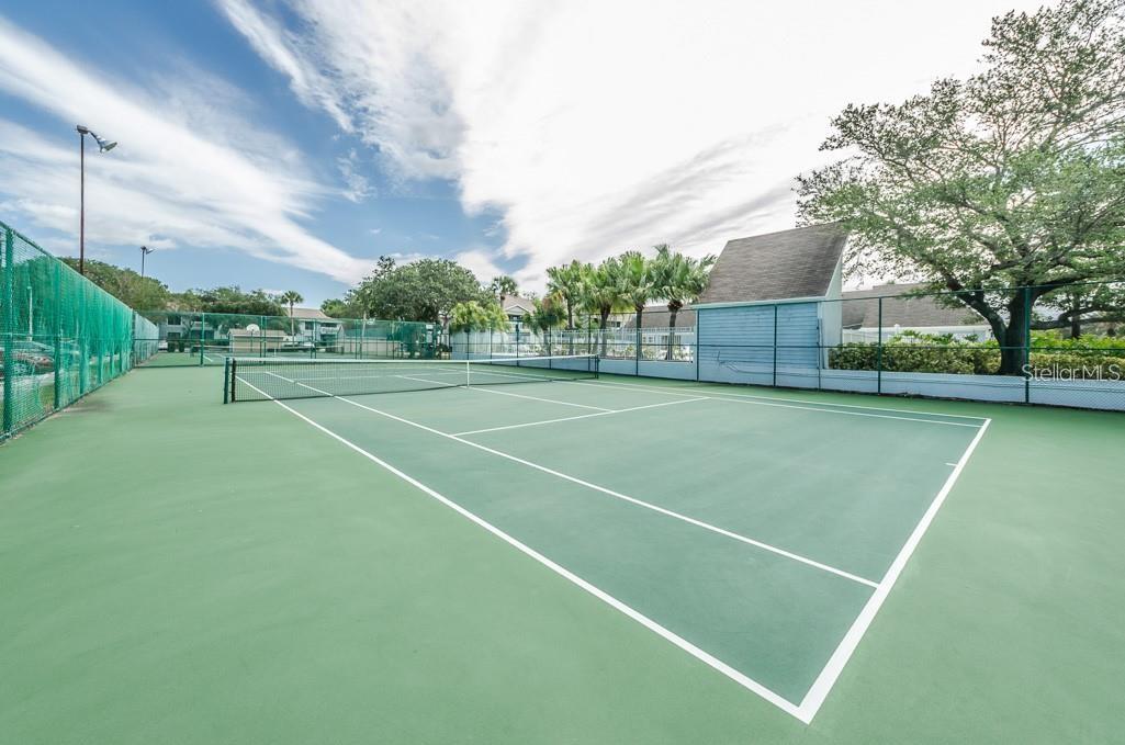 455 ALT 19 S #87, PALM HARBOR, FL, 34683