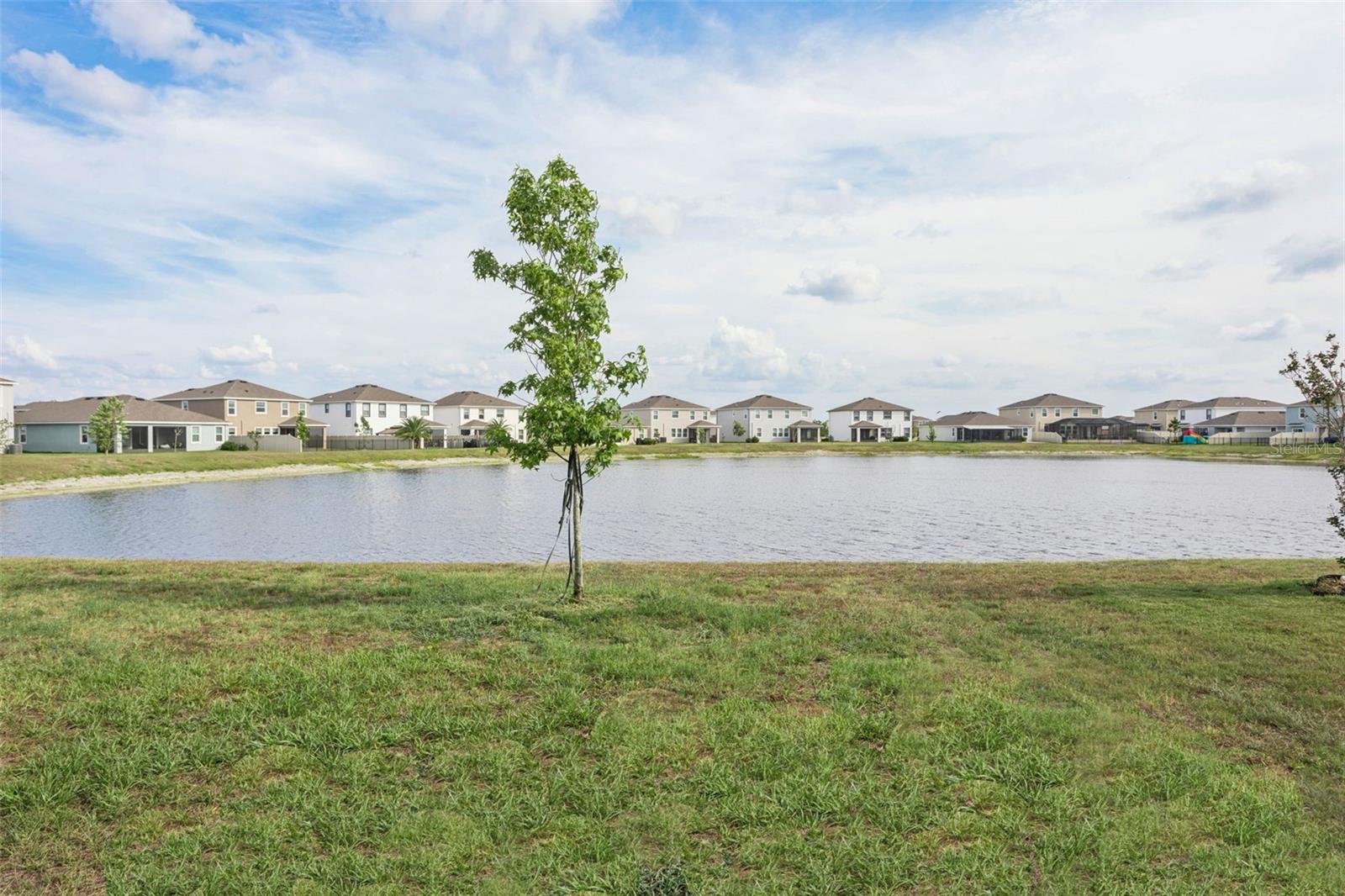 9119 FORGE BREEZE LOOP, WESLEY CHAPEL, FL, 33545