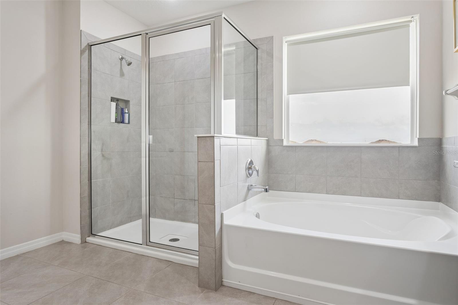 9119 FORGE BREEZE LOOP, WESLEY CHAPEL, FL, 33545