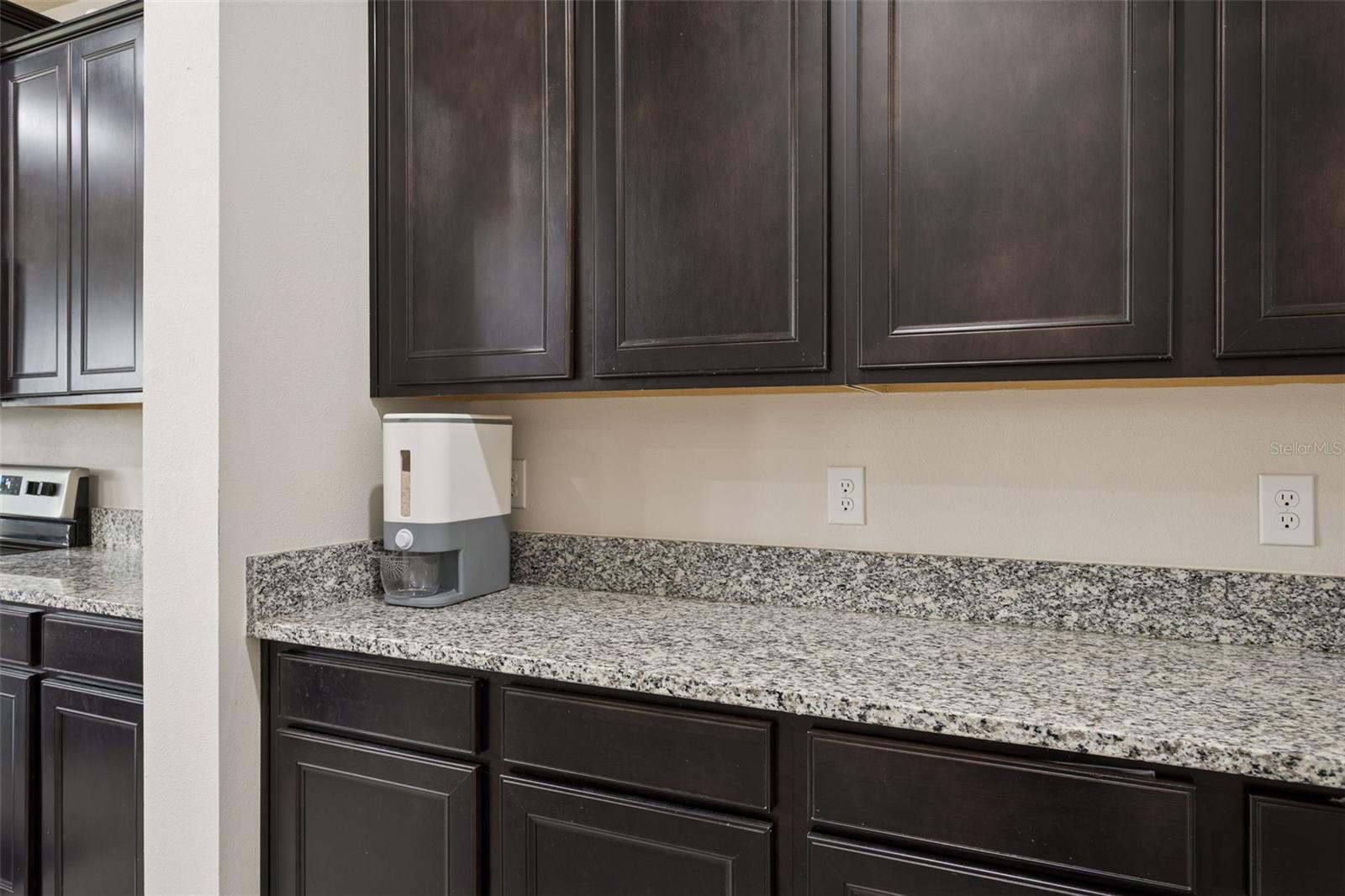9119 FORGE BREEZE LOOP, WESLEY CHAPEL, FL, 33545