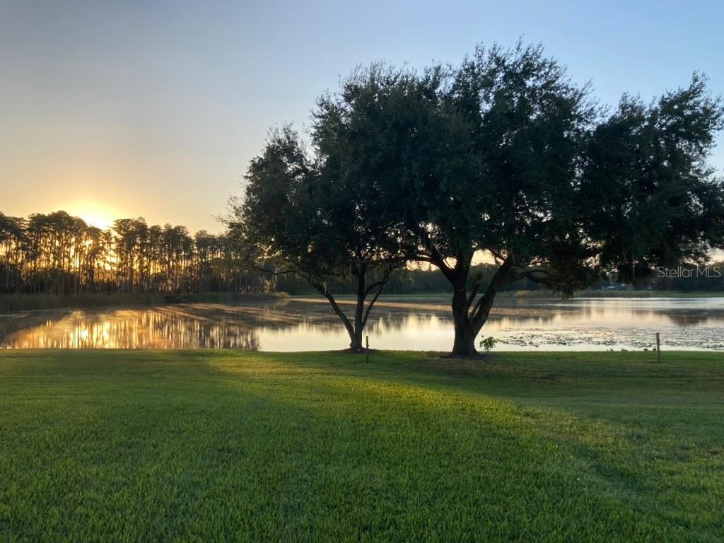 1324 BROOKE VIEW DR, ODESSA, FL, 33556
