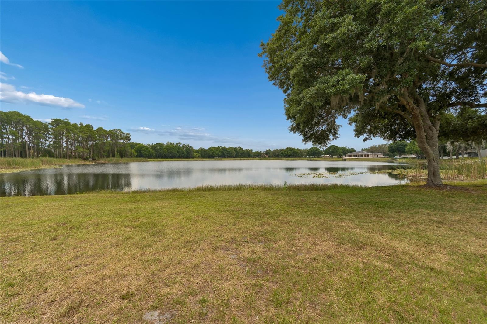 1324 BROOKE VIEW DR, ODESSA, FL, 33556