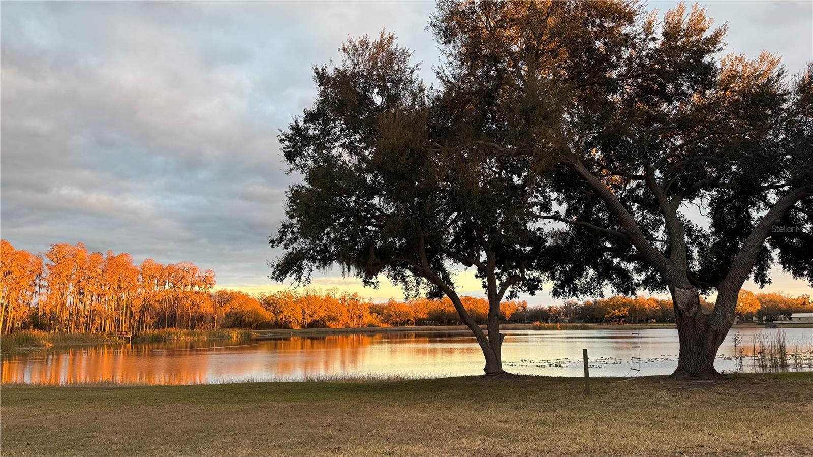 1324 BROOKE VIEW DR, ODESSA, FL, 33556