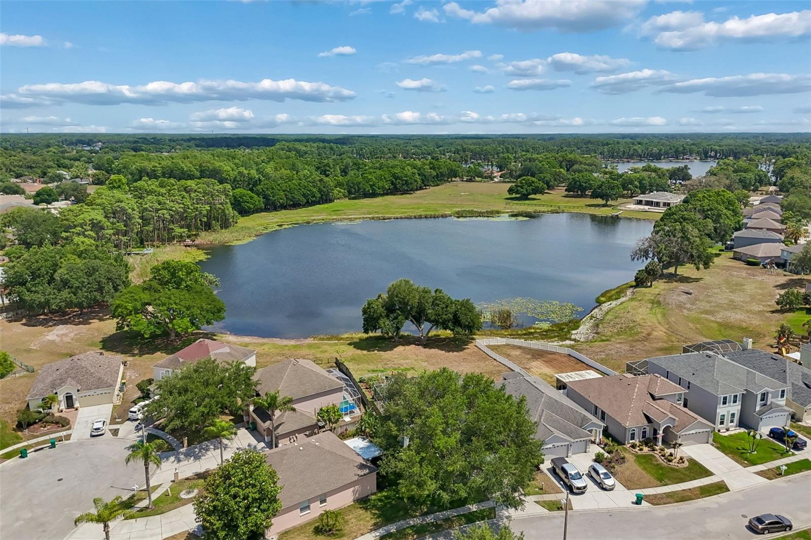 1324 BROOKE VIEW DR, ODESSA, FL, 33556