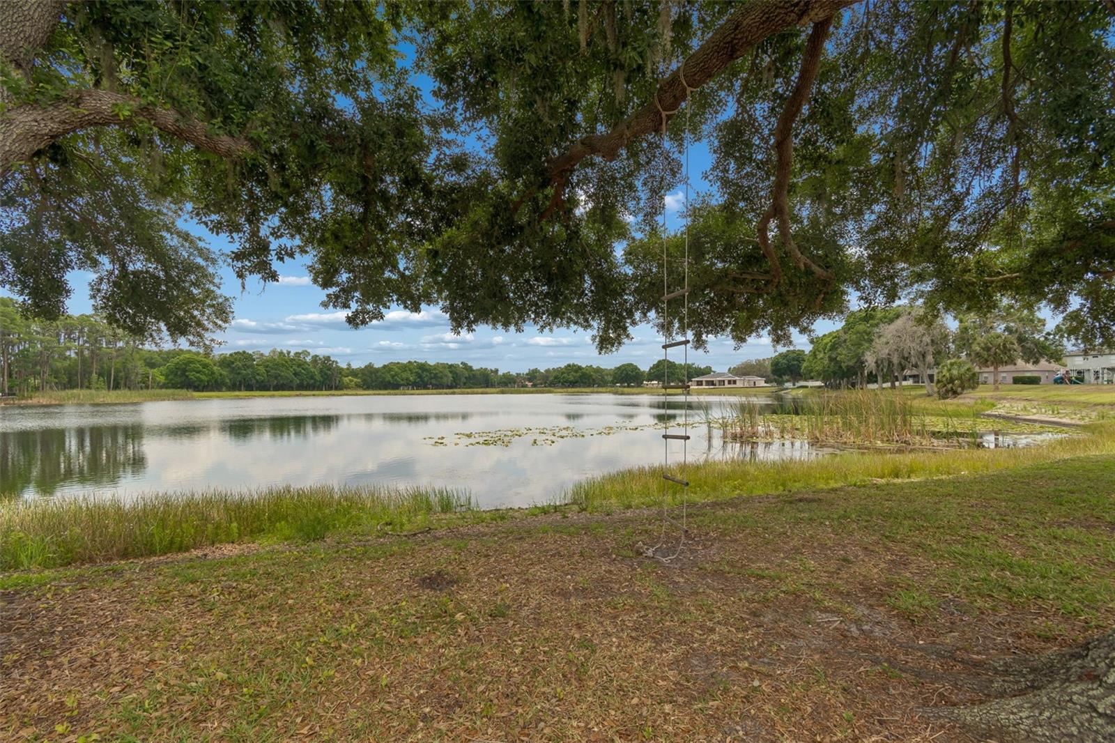 1324 BROOKE VIEW DR, ODESSA, FL, 33556