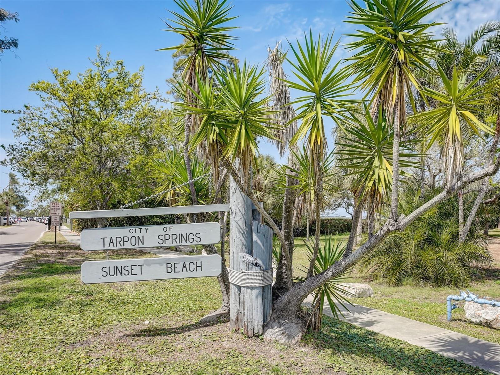 800 CHESAPEAKE DR #42, TARPON SPRINGS, FL, 34689