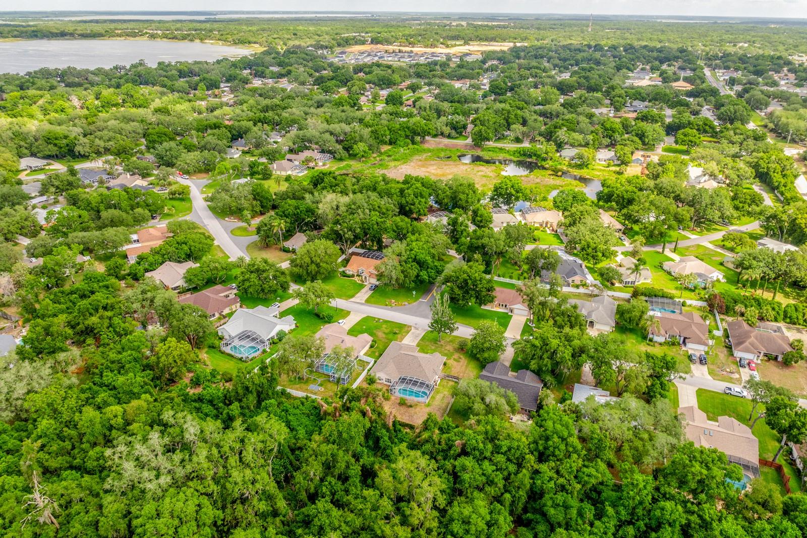 10126 SILVER BLUFF DR, LEESBURG, FL, 34788