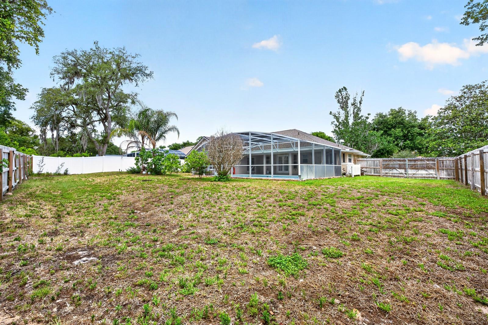 10126 SILVER BLUFF DR, LEESBURG, FL, 34788