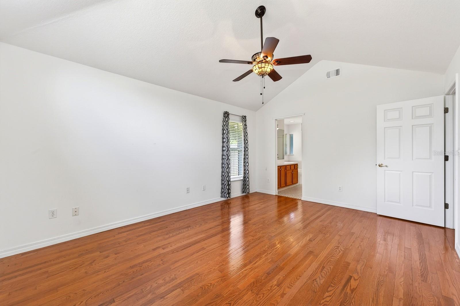 10126 SILVER BLUFF DR, LEESBURG, FL, 34788
