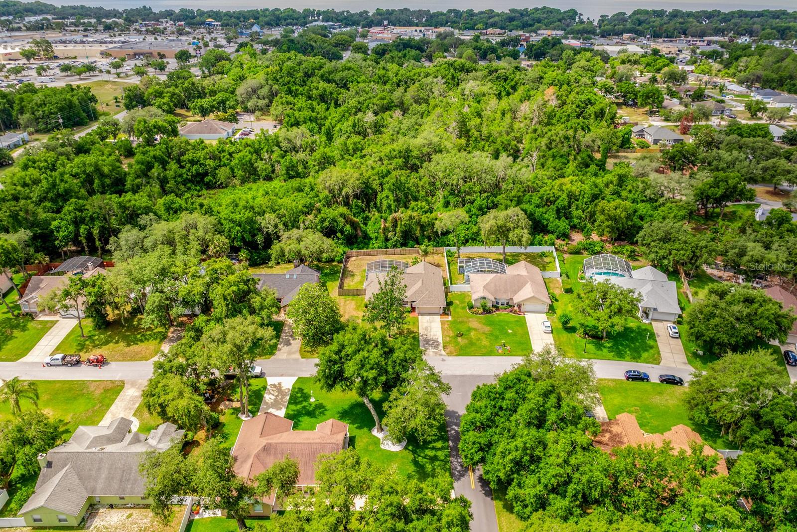 10126 SILVER BLUFF DR, LEESBURG, FL, 34788