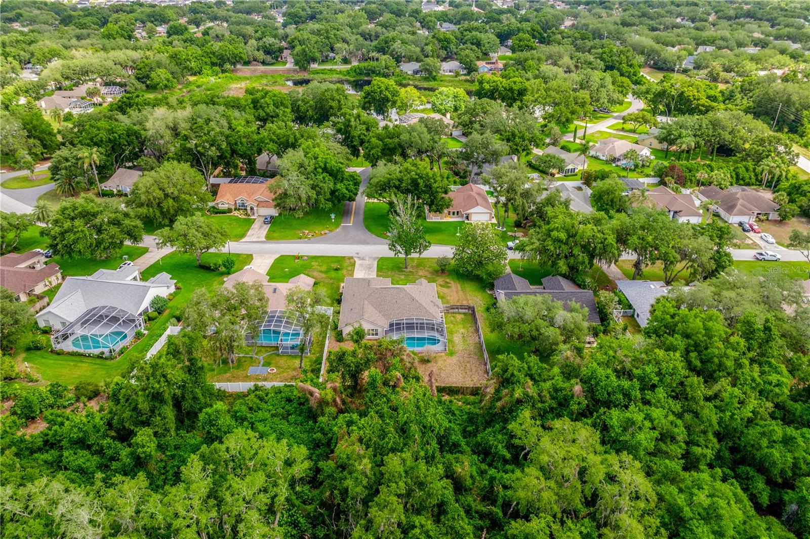 10126 SILVER BLUFF DR, LEESBURG, FL, 34788
