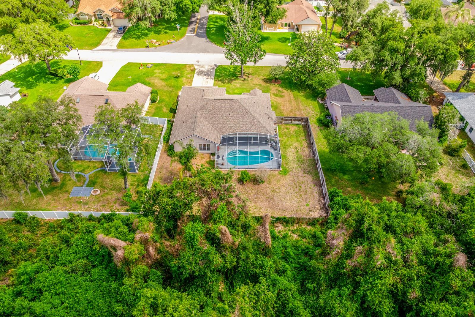 10126 SILVER BLUFF DR, LEESBURG, FL, 34788