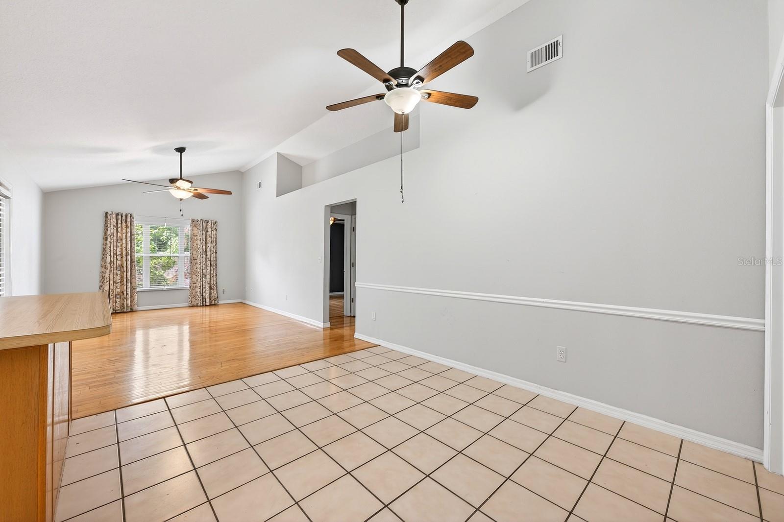 10126 SILVER BLUFF DR, LEESBURG, FL, 34788