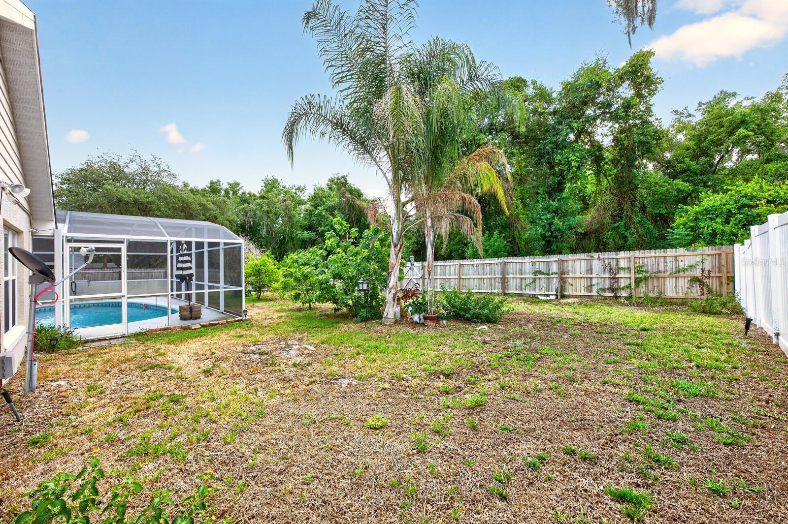 10126 SILVER BLUFF DR, LEESBURG, FL, 34788