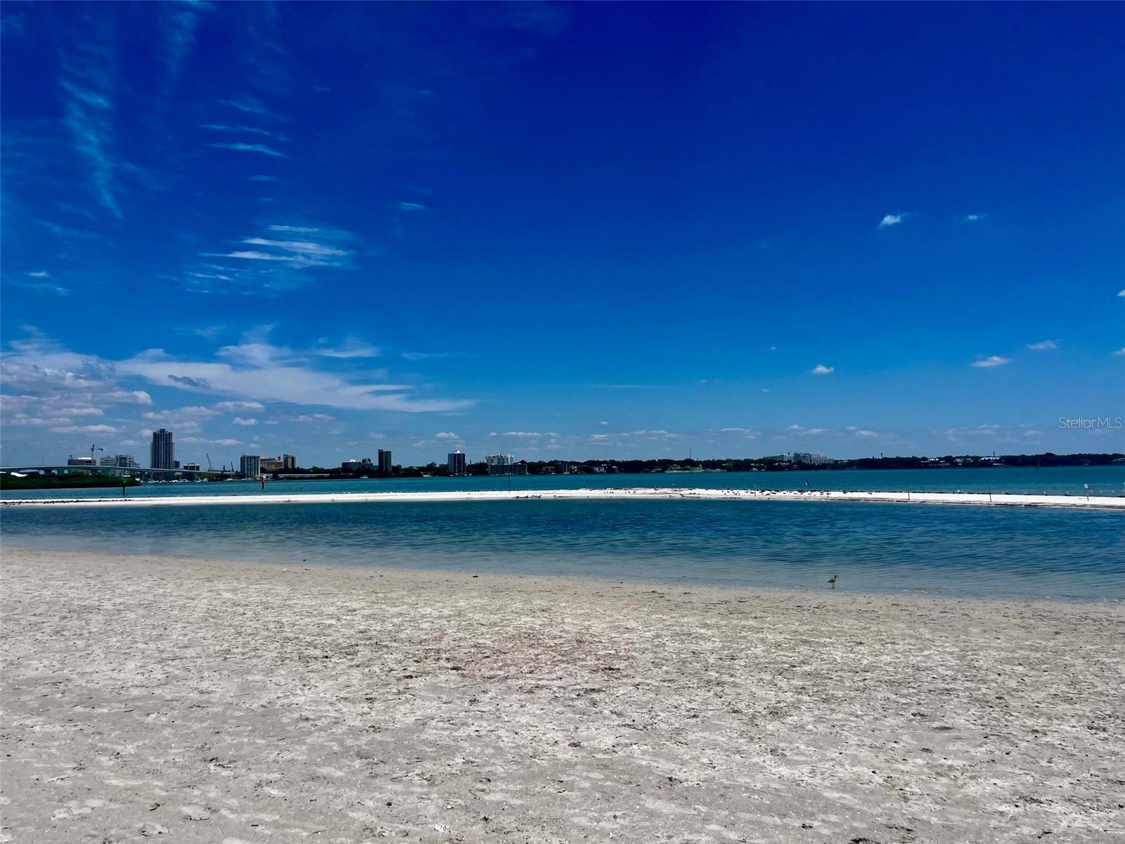 851 BAYWAY BLVD #405, CLEARWATER BEACH, FL, 33767