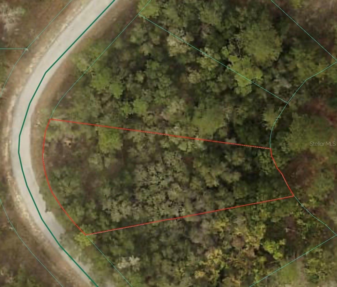 0 SW SHOREWOOD DR, DUNNELLON, FL, 34431