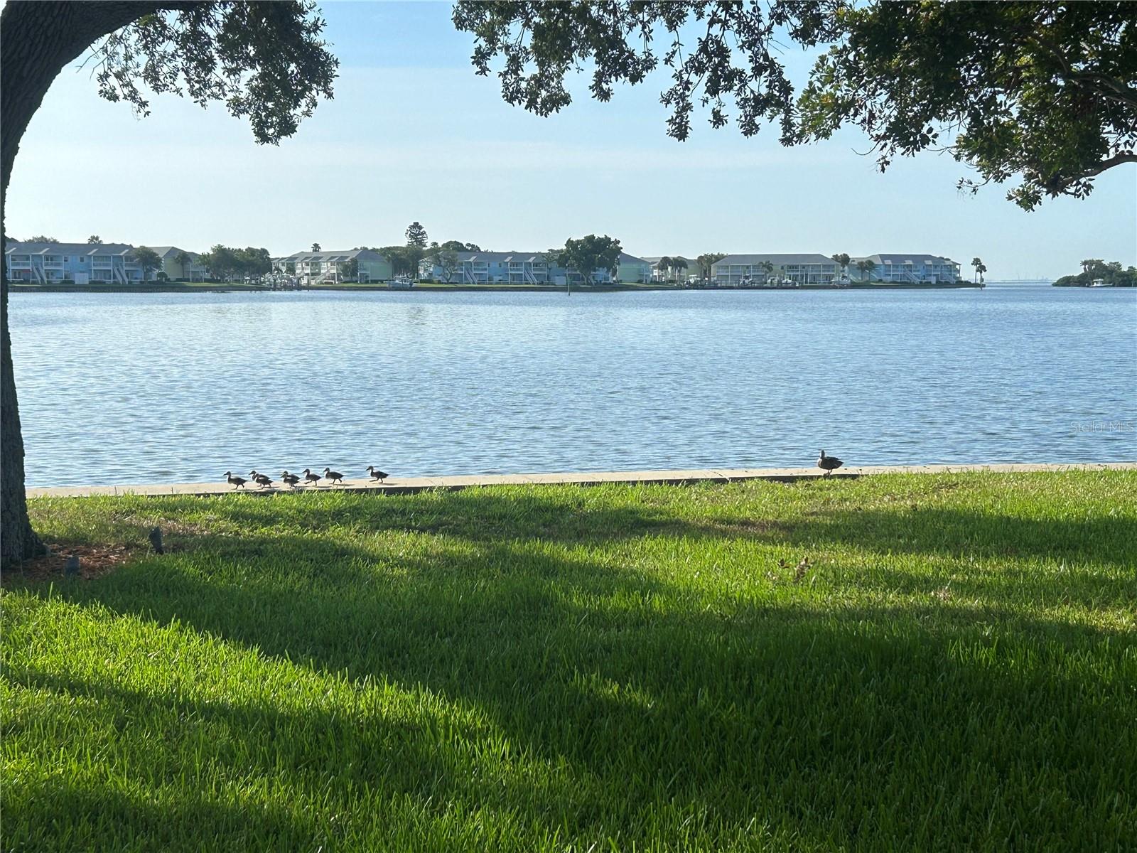 4838 PARADISE WAY S, ST PETERSBURG, FL, 33705