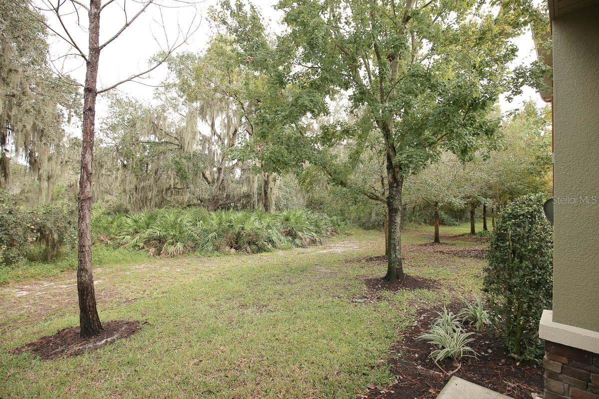 5712 KINGLETSOUND PL, LITHIA, FL, 33547