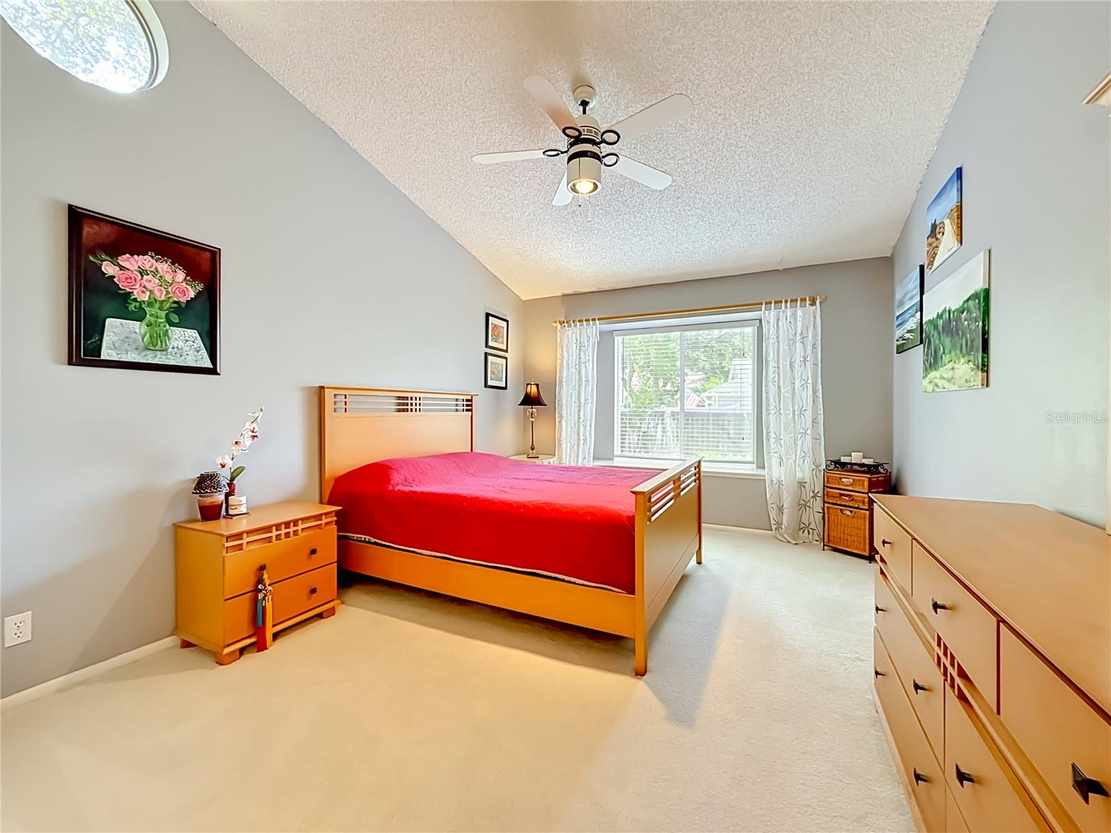 2924 PENRIDGE DR, PALM HARBOR, FL, 34684
